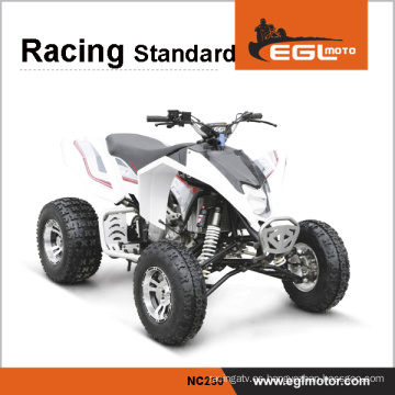 Gran potencia de 250cc Racing Quad modelo 2014